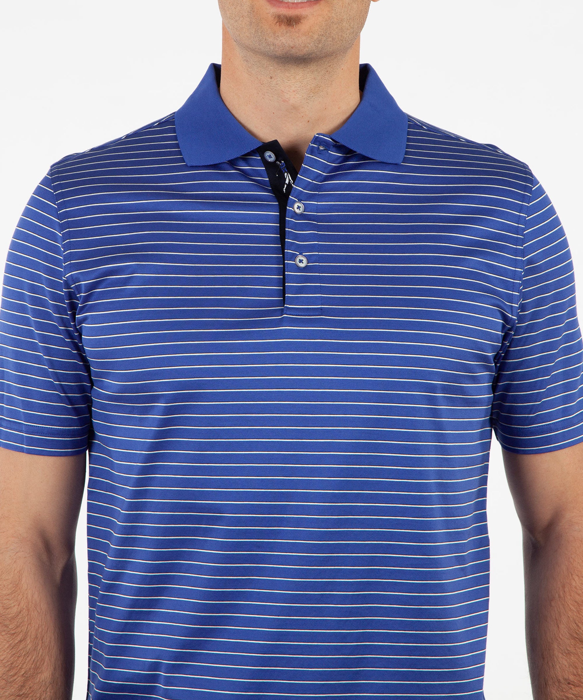 Signature Pisano Stripe 100% Mercerized Cotton Short Sleeve Polo Shirt