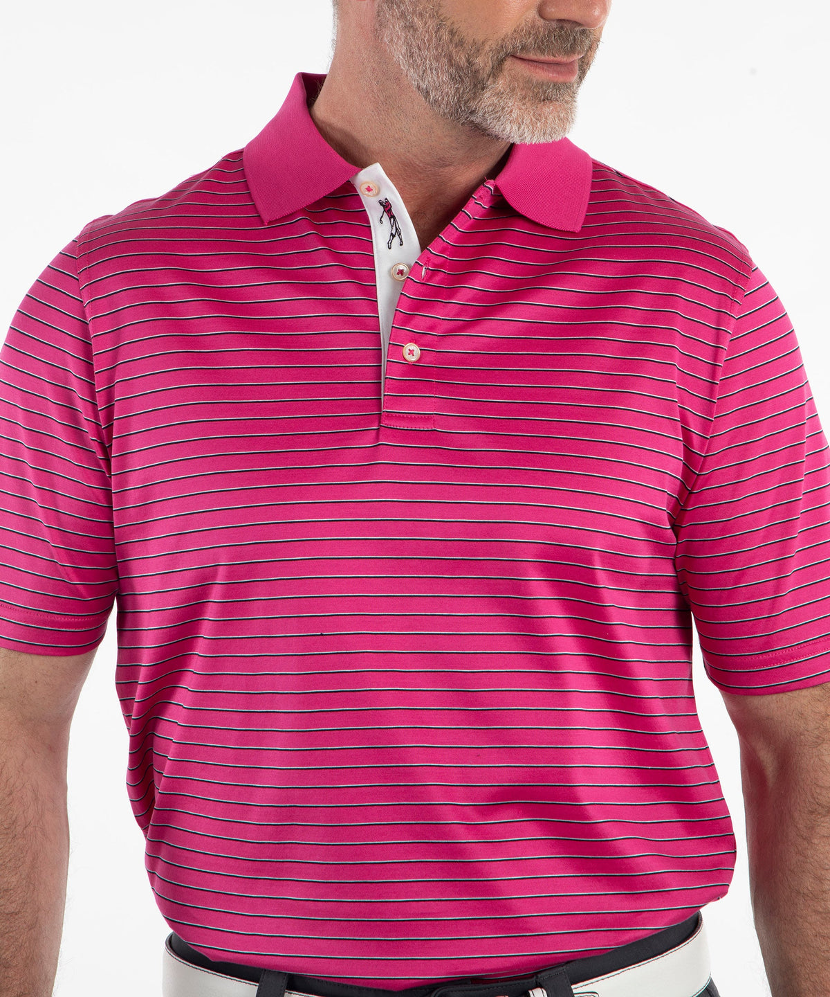 Signature Pisano Stripe 100% Mercerized Cotton Short Sleeve Polo Shirt