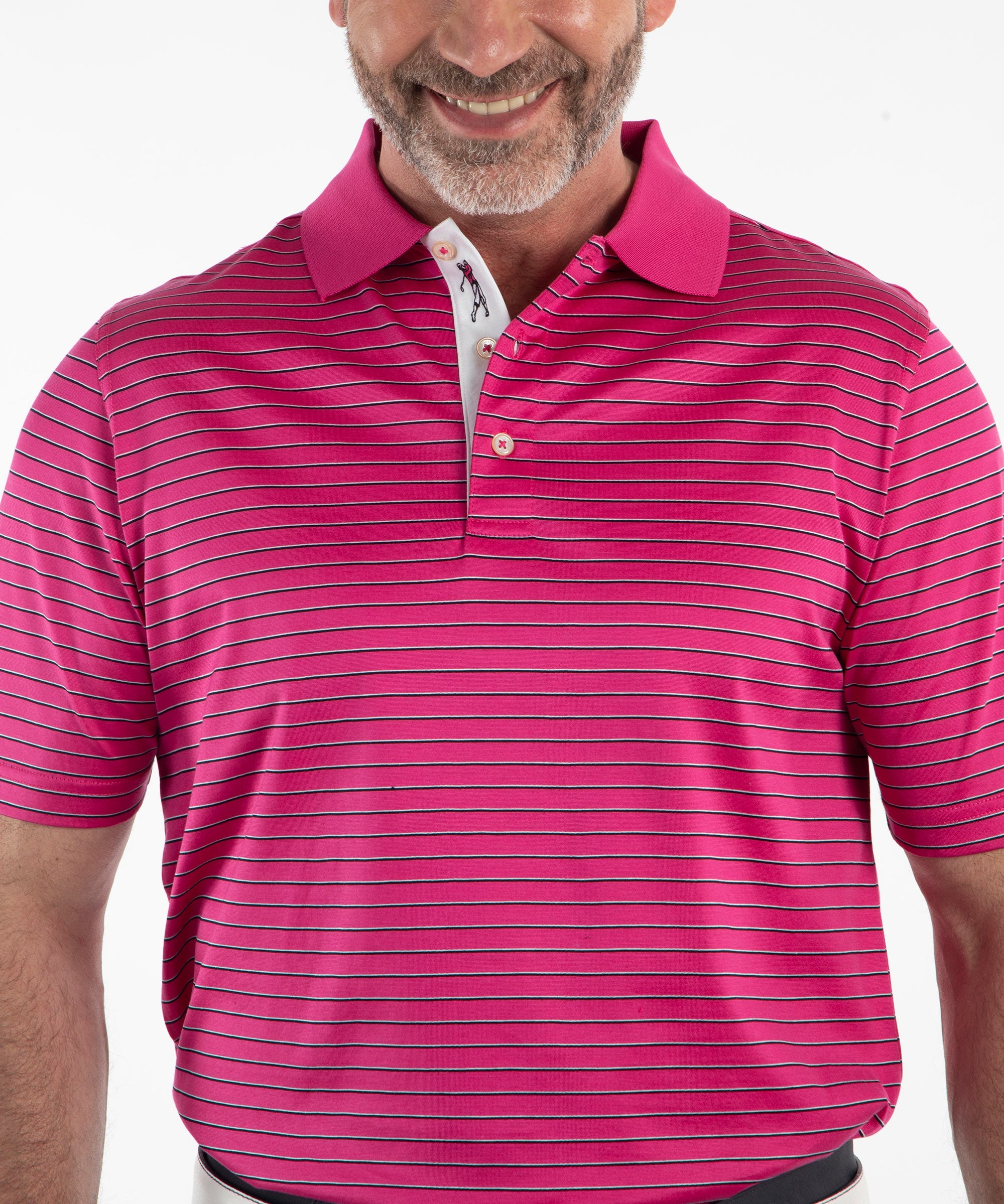 Signature Pisano Stripe 100% Mercerized Cotton Short Sleeve Polo Shirt